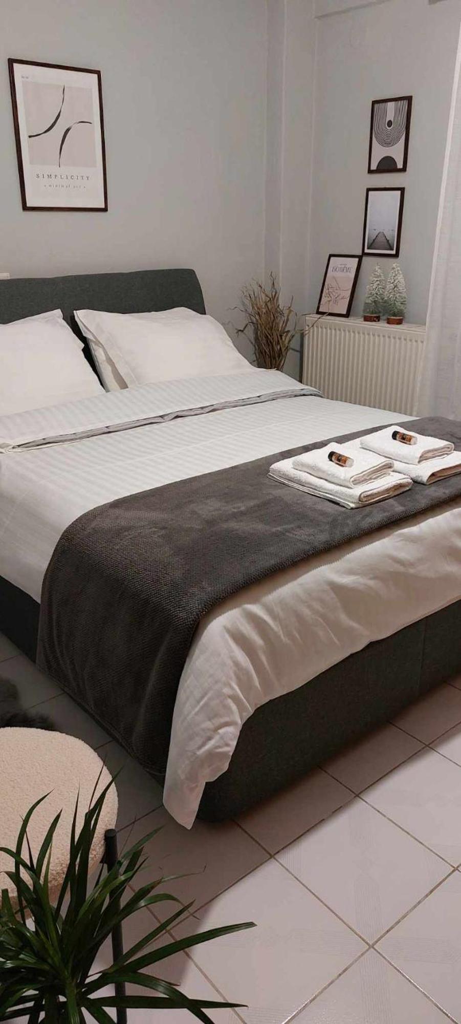 Hermes Modern Apartment อเล็กซานโดรโพลิส ภายนอก รูปภาพ